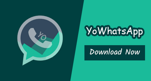 yowhatsapp-whatsapp-mod-app - detikgadget.com